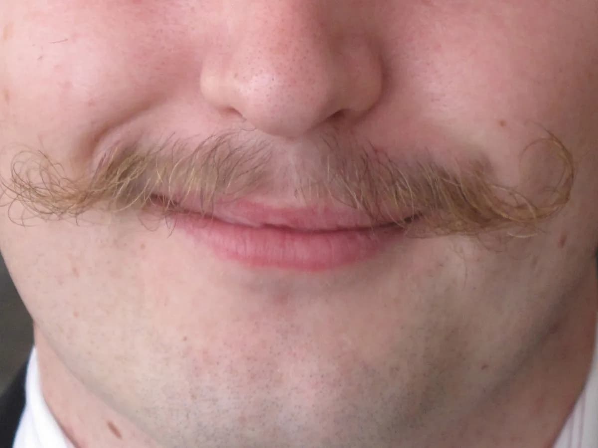 Kto to jest bigot? Zrozumienie negatywnych konotacji i cech Kto to jest bigot? Zrozumienie negatywnych konotacji i cech