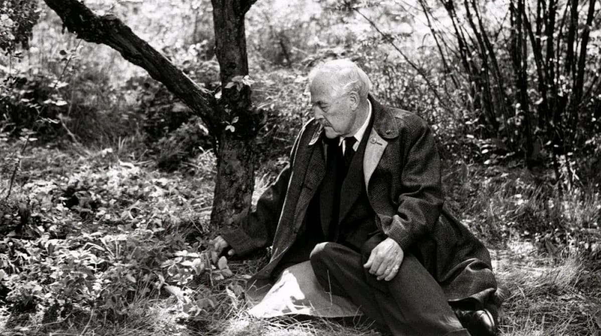 Tam gdzie rosną poziomki: Czy starość musi być samotna? Tam gdzie rosną poziomki: Czy starość musi być samotna?