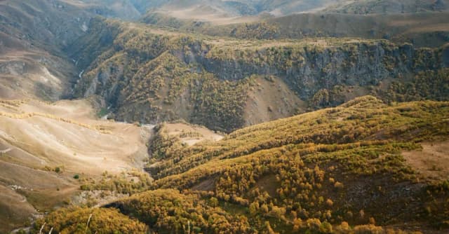 Serce dębu: Czy natura skrywa więcej tajemnic niż myślimy? Serce dębu: Czy natura skrywa więcej tajemnic niż myślimy?