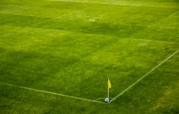 Najpopularniejsze dyscypliny sportowe na świecie – które przyciągają najwięcej kibiców? Najpopularniejsze dyscypliny sportowe na świecie – które przyciągają najwięcej kibiców?