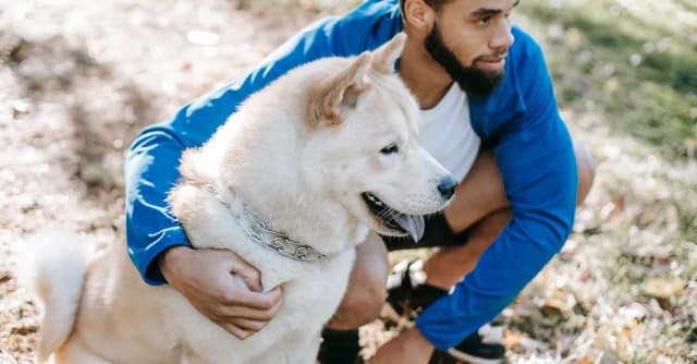 Czy Pies to najbardziej wzruszający film o przyjaźni zwierząt? Czy Pies to najbardziej wzruszający film o przyjaźni zwierząt?